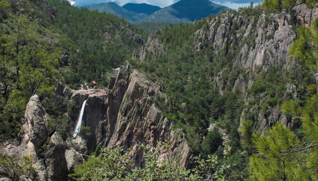 Excursion au Parc National Cascada de Basaseachi - Photo 5