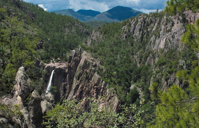 Excursion au Parc National Cascada de Basaseachi - Photo 5