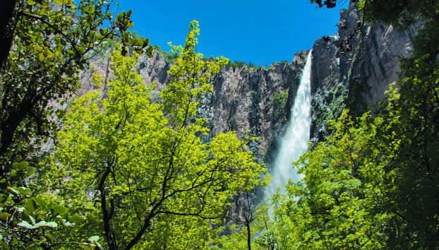 Excursion au Parc National Cascada de Basaseachi - Photo 2