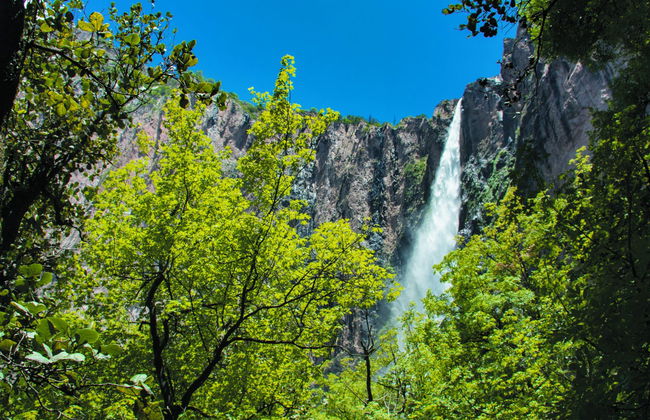 Excursion au Parc National Cascada de Basaseachi - Photo 2