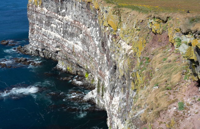 Tour en jeep por Látrabjarg y Raudasandur - Foto 5