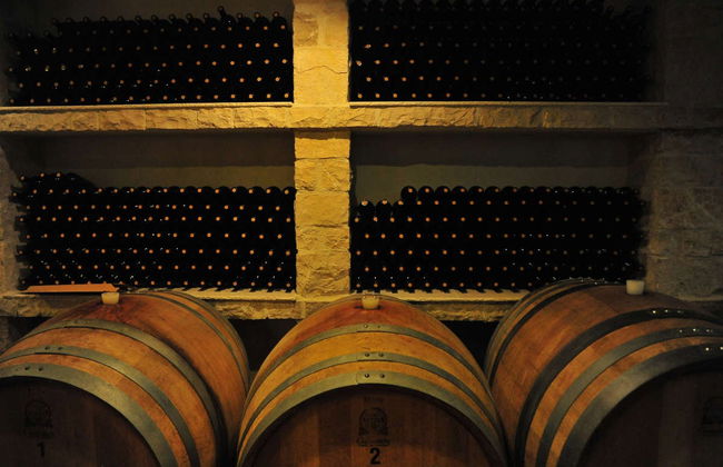Excursão a Lumbarda de bicicleta + Degustação de vinho - Foto 8