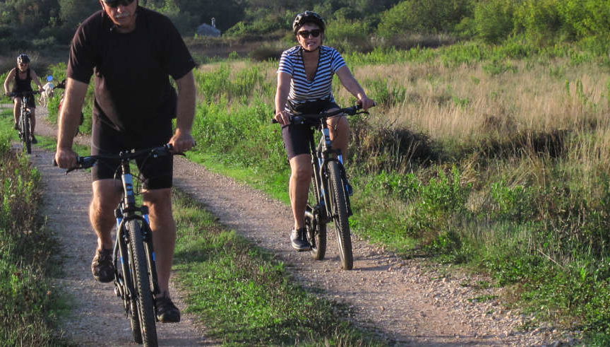 Excursión a Lumbarda en bicicleta + Degustación de vino