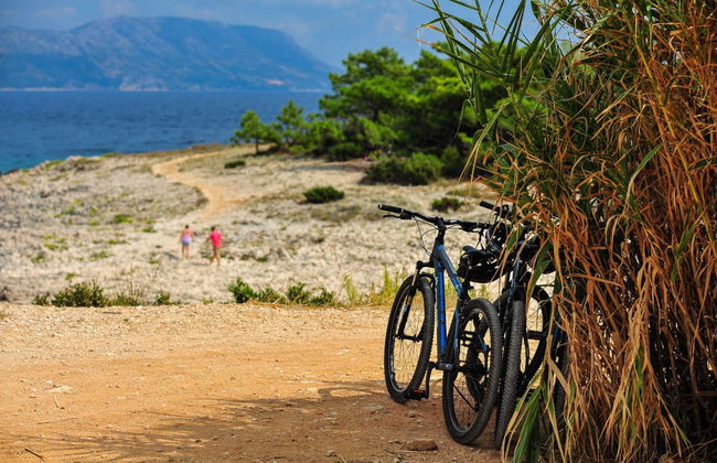 Excursão a Lumbarda de bicicleta + Degustação de vinho - Foto 7