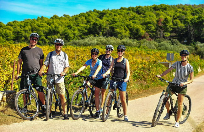 Excursão a Lumbarda de bicicleta + Degustação de vinho - Foto 3