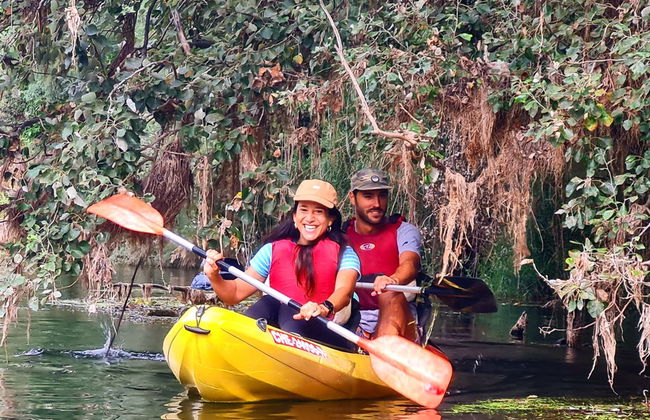 Tour en kayak por el río Ebro hacia Miravet - Foto 6