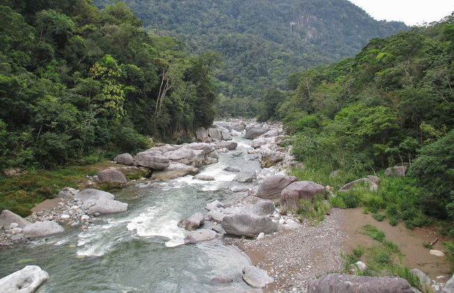 Rafting en el río Cangrejal - Foto 4