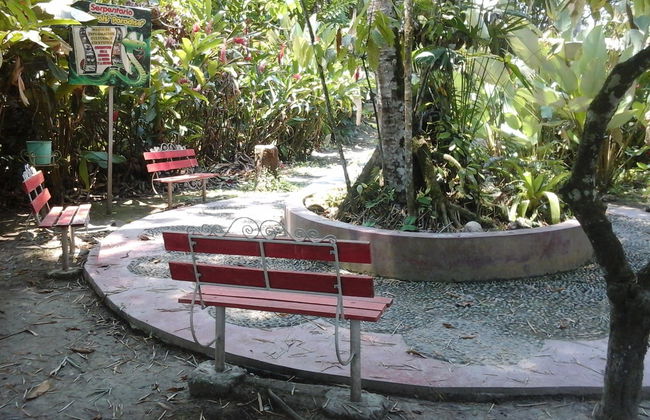 Tour por Tingo María - Foto 5