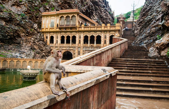Tour por los templos de Jaipur - Foto 1