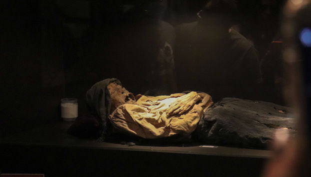 Visite de Guanajuato + Musée de la momie - Photo 5