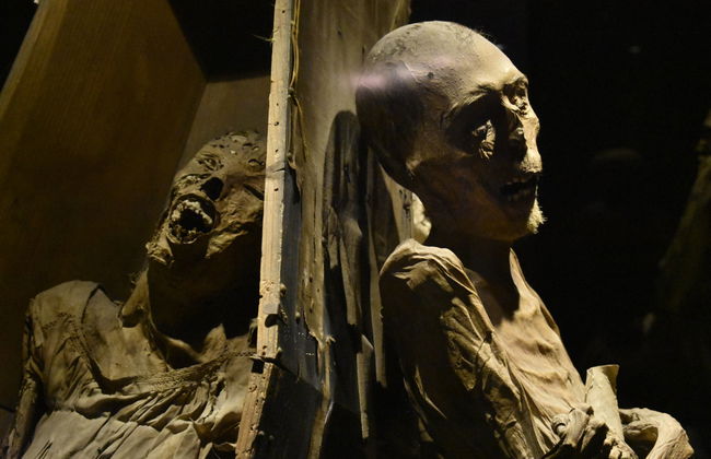 Guanajuato Tour + Mummy Museum - Foto 2