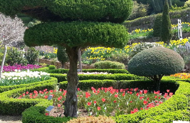 Escursione all'isola di Oedo - Foto 4
