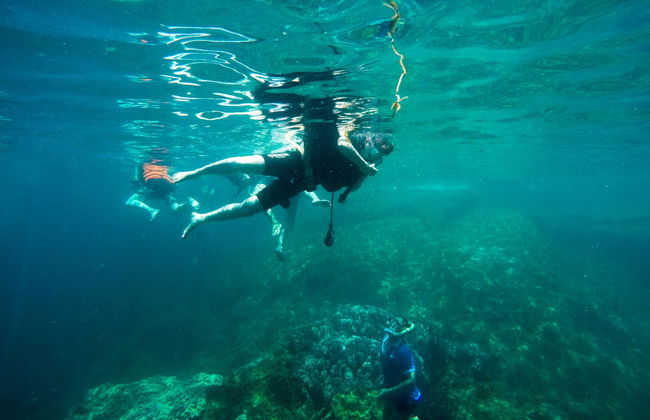 Cham Island Snorkeling - Photo 1