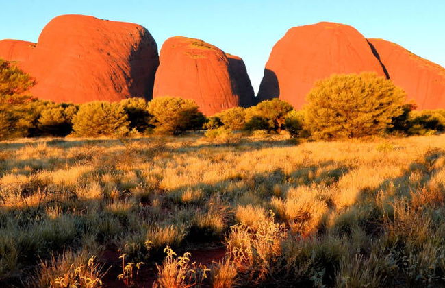 Excursão a Kata Tjuta e Vale dos Ventos - Foto 8