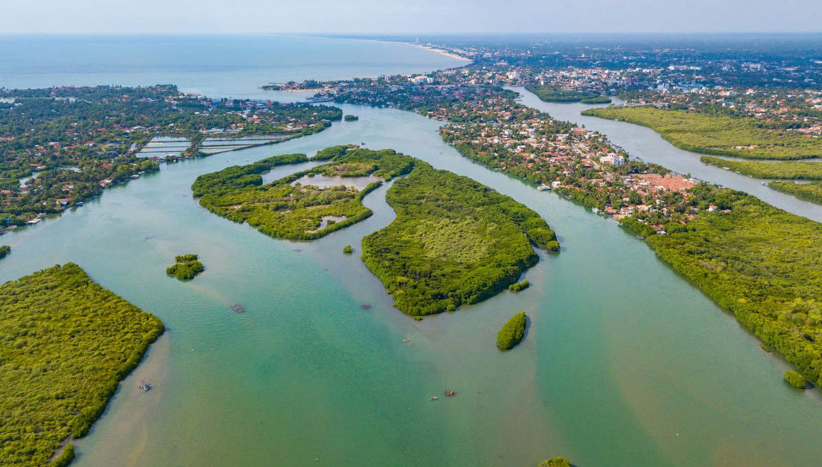 Private Negombo City Tour - Photo 1