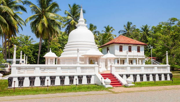 Private Negombo City Tour - Photo 3