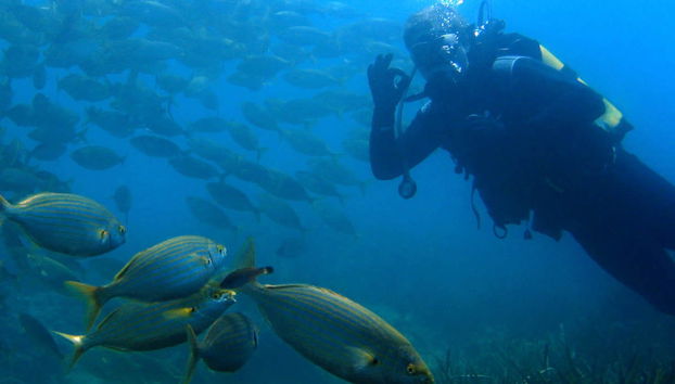 Immersione per principianti nel Parco Naturale del Montgrí - Foto 2