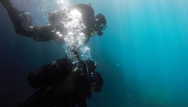 Immersione per principianti nel Parco Naturale del Montgrí - Foto 5