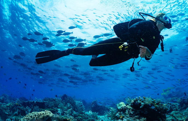 Immersione per principianti nel Parco Naturale del Montgrí - Foto 1