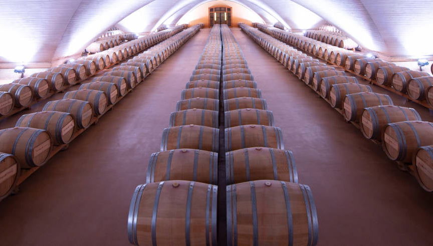 Visita a la Bodega Otazu