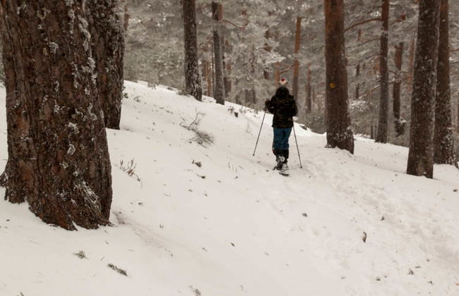 Paseo con raquetas de nieve por la Sierra de Guadarrama - Foto 7