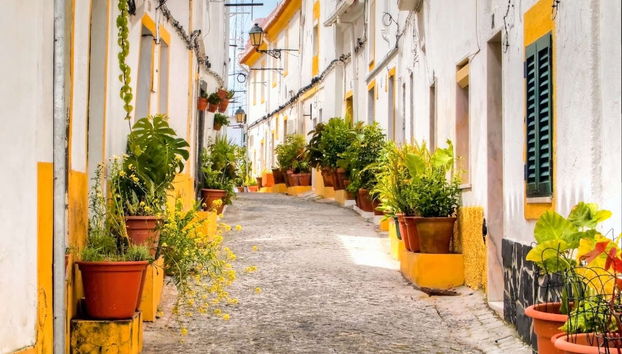 Elvas Private Tour - Foto 2