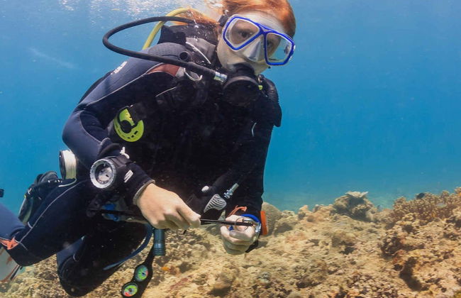 Boracay Beginners Scuba Diving - Photo 4