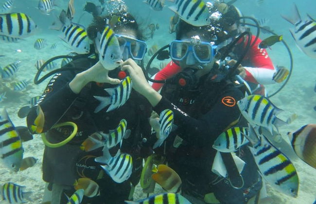 Boracay Beginners Scuba Diving - Photo 2