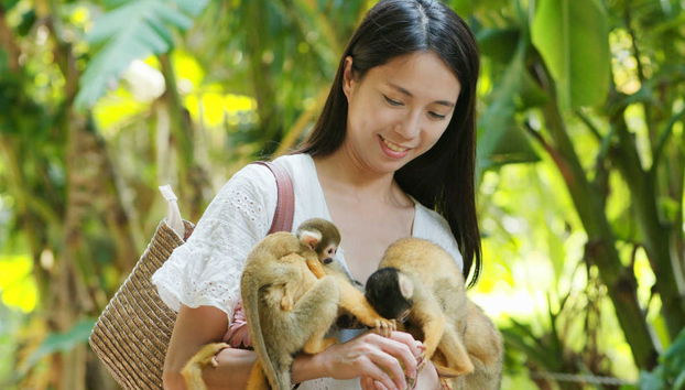 Excursion à Monkeyland - Photo 2