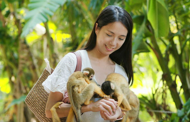 Monkeyland Day Trip - Photo 2