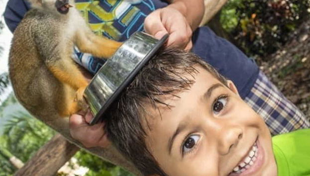 Excursion à Monkeyland - Photo 5