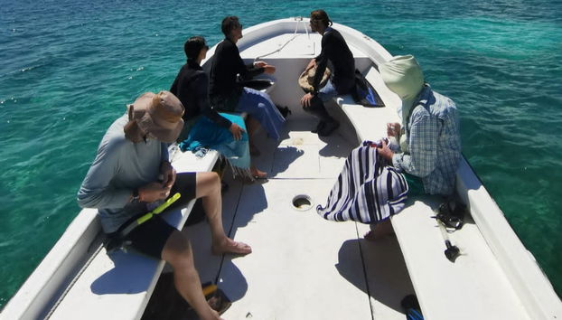 Xcalak Snorkeling Tour - Foto 3