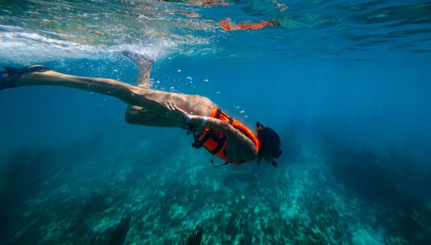 Xcalak Snorkeling Tour - Foto 2