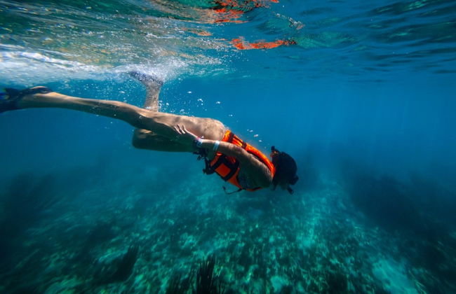 Xcalak Snorkeling Tour - Foto 2