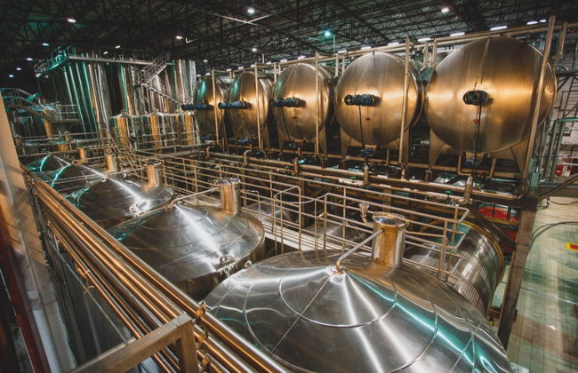 Visita alla cantina Salton + Degustazione di cachaça - Foto 2
