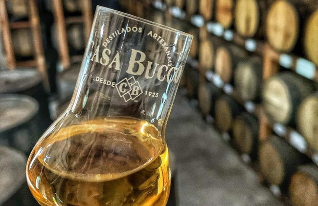 Visita alla cantina Salton + Degustazione di cachaça - Foto 7