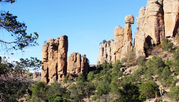 Sombrerete Tour - Photo 5