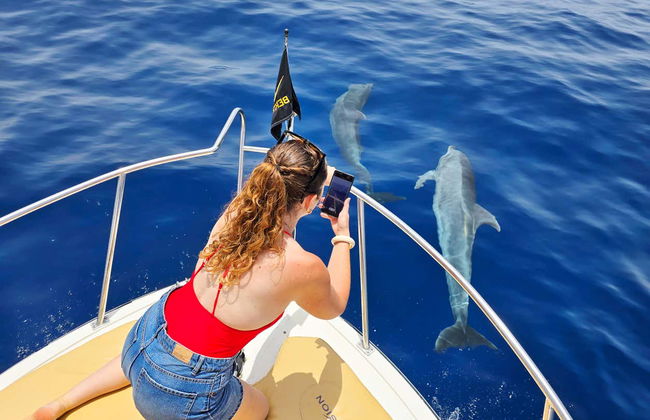 Paseo en barco privado por Los Gigantes y Masca - Foto 6