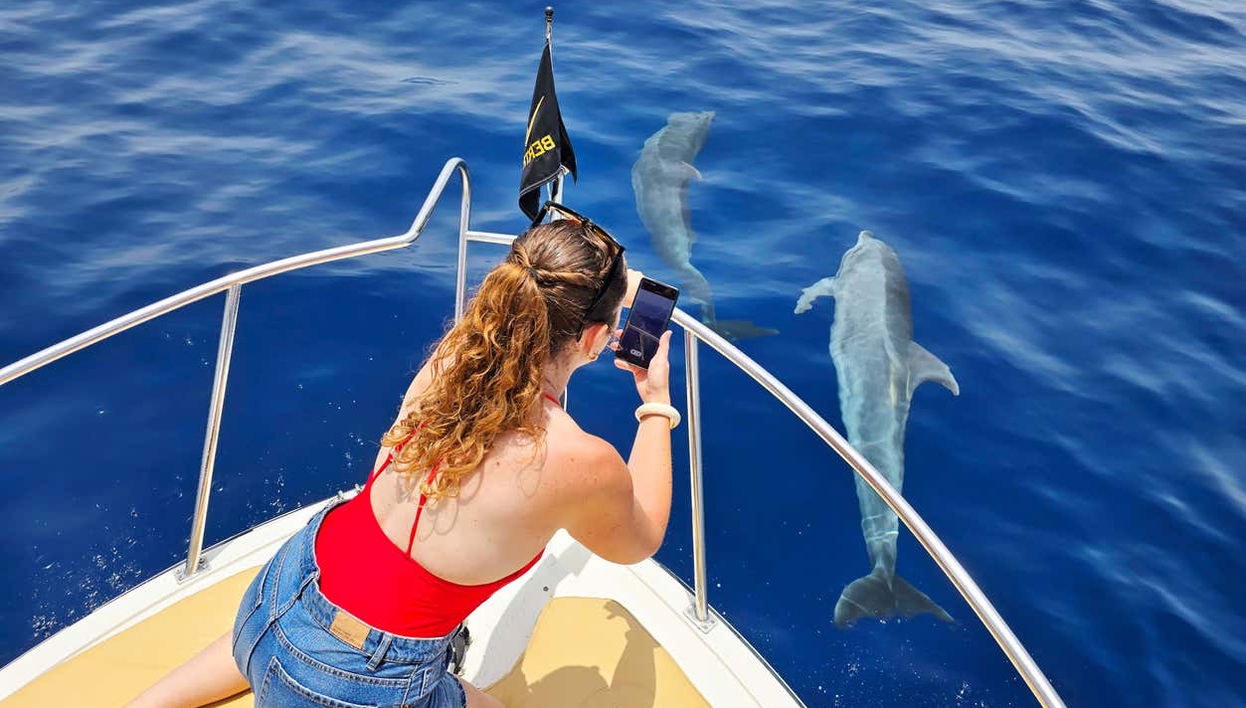Passeio de iate com avistamento de cetáceos - Foto 1