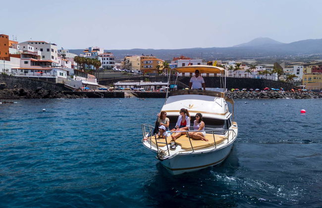 Paseo en barco privado por Los Gigantes y Masca - Foto 1