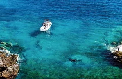 Paseo en barco privado desde Playa San Juan - Foto 8