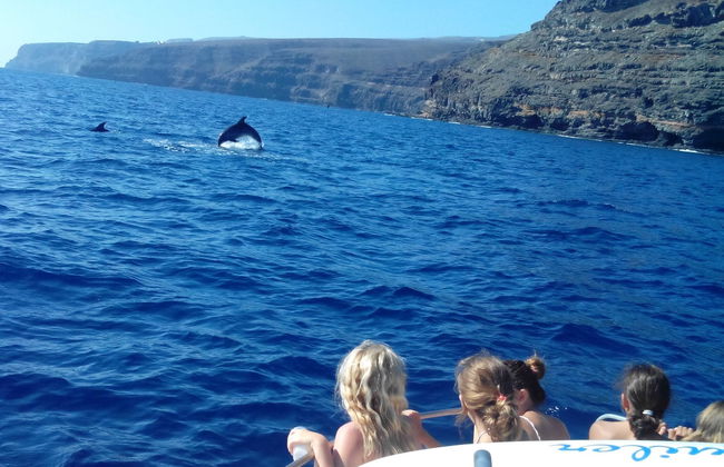 Alquiler de barco con patrón en Playa Santiago - Foto 4