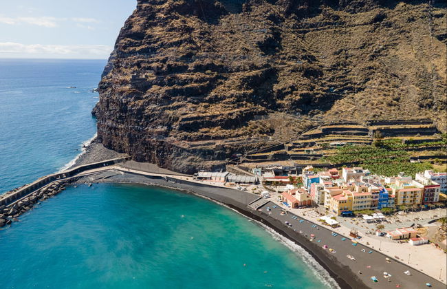 La Palma Dolphin & Whale Watching on a Glass-Bottom Boat - Foto 6