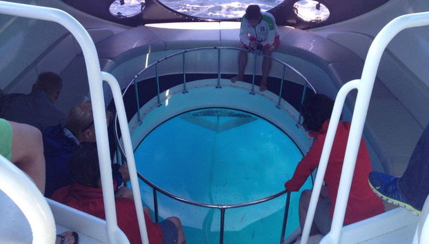 La Palma Yacht Cruise - Photo 3