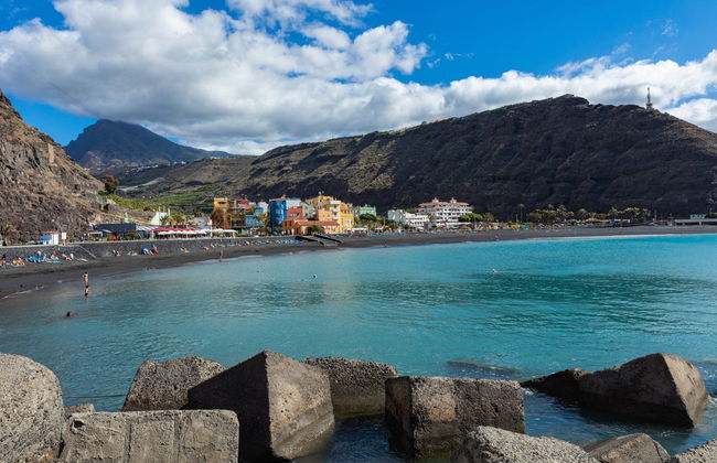 La Palma Dolphin & Whale Watching on a Glass-Bottom Boat - Foto 5