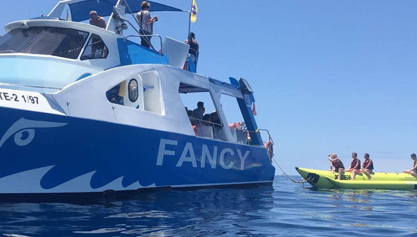 Avistamiento de ballenas y delfines en barco con fondo de cristal - Foto 3