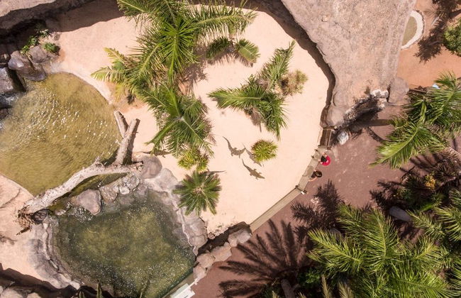 Oasis Wildlife Fuerteventura - Foto 4