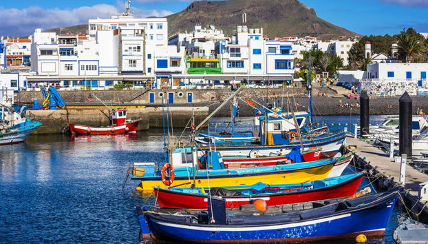 Excursión al Valle de Agaete - Foto 3