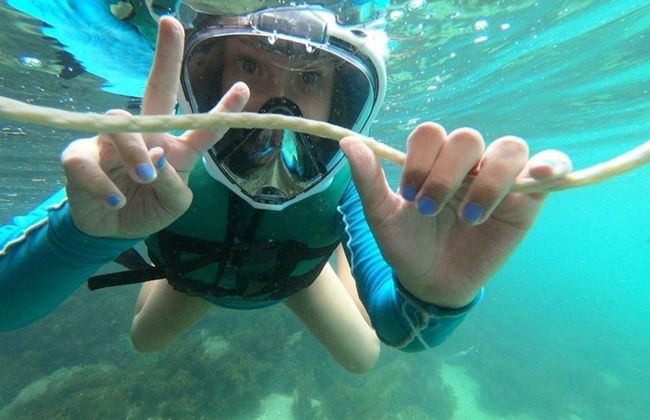 Snorkel en la playa da Sepultura + Bombinhas - Foto 2