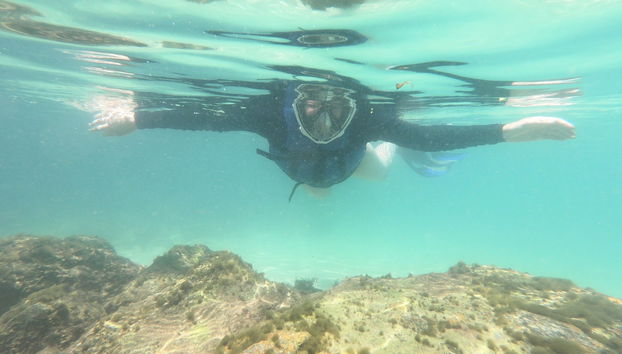 Snorkel en la playa da Sepultura + Bombinhas - Foto 2